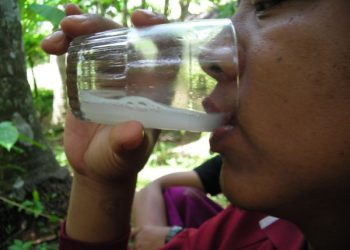 Miras dalam Tradisi Masyarakat Bali