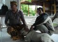 Waspada, Anjing Rabies di Tabanan