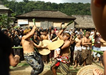 Inilah Akar Kekerasan Manusia Bali