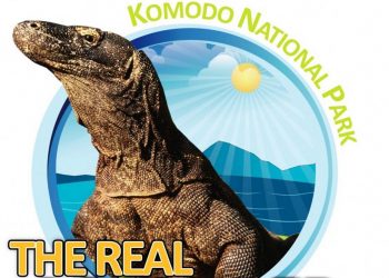 Konser untuk Komodo di Pantai Kuta