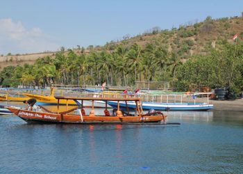 Mati Gaya di Teluk Nara Lombok Utara