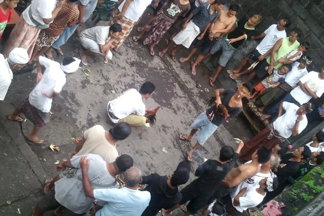 Merekam Keriuhan dan Kepiluan Tajen