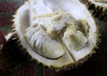 “Panen” Buah Durian di Pinggir Jalan