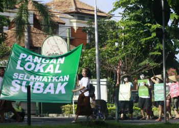 Kampanye Pangan Lokal Selamatkan Subak