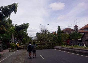 Angin Kencang di Bali pun Memakan Korban