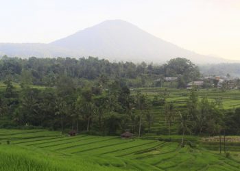 Subak Jatiluwih, Sebuah Harmonisasi Peradaban