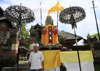 Ritual Menghormati Kokokan di Petulu