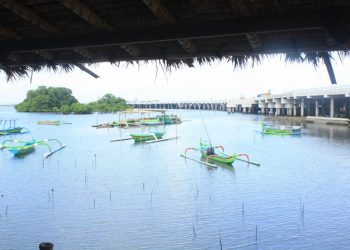 Tahura Wanasari, dari Hutan menjadi Rezeki