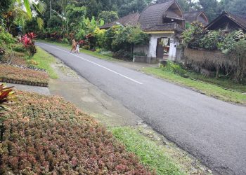 Petiga Desa Pusat Tanaman Hias
