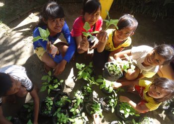Serunya Belajar Bersama Cacing Tanah