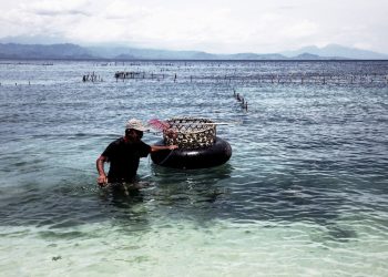 [Foto] Memotret Petani Rumput Laut Nusa Penida