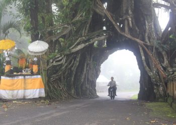 Jangan ke Bunut Bolong Jika..