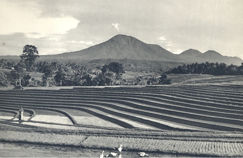 Bali Tempo Doeloe: Masa Silam Budaya Menanam