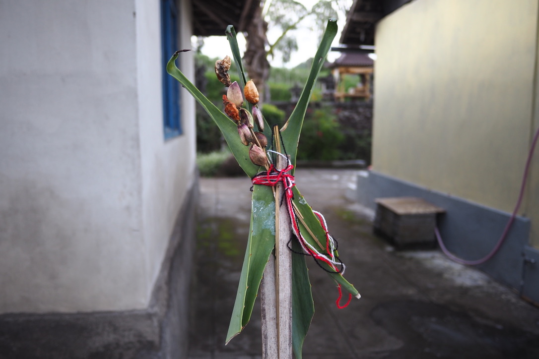 Umat Hindu Bali memasang persembahan khusus untuk menolak bala termasuk pandemi Covid-19. Foto Anton Muhajir