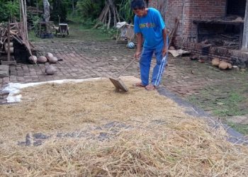 Pekerja Harian dan Pandemi COVID-19