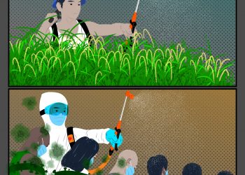 Ilustrasi: Dulu dan Sekarang