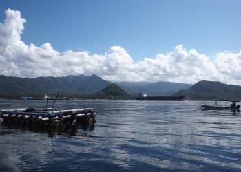 Bertahan di Tengah Pandemi