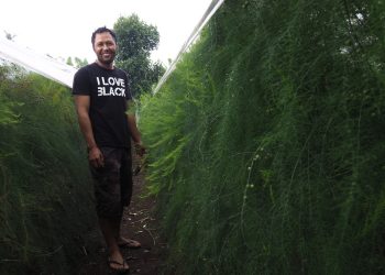 Petani Muda, Beda, dan Berdaya