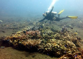 Desa di Pesisir Buleleng Buat Ribuan Rumah Ikan