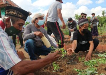 Refleksi Kebun Kolektif bagi Gerakan Petani