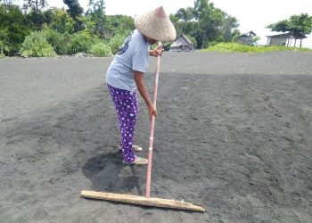 Garam Kusamba: Memanen Air Laut Mengandalkan Terik