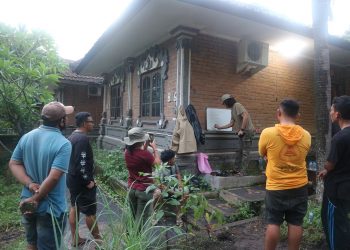 Kilas Balik Gerakan Tanam Saja Sepanjang 2020