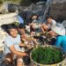 Suka Duka Petani Bulung dan Pemulung Nusa Penida