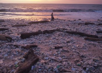 Lebih Optimal dengan Bank Sampah Digital