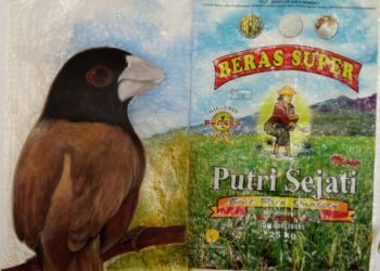 Manfaat Tersembunyi Hama Burung