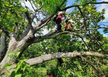 Desaku Jauh dari Akses Internet