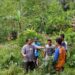 Program Desain Hutan Pangan dari Mother Jungle