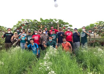 Yang Muda yang Bertani