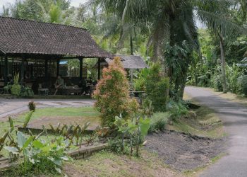 Melali Cokelat dan Sastra di Bali Barat