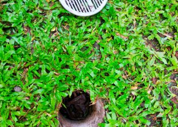 Cara-cara Memanen Air Hujan: