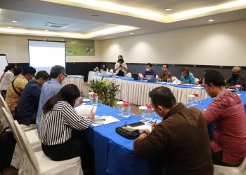 Mengevaluasi Dokumen Transisi Energi Bersih Bali