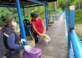 Rabies Masih Mewabah, Vaksinasi Hewan dari Rumah ke Rumah