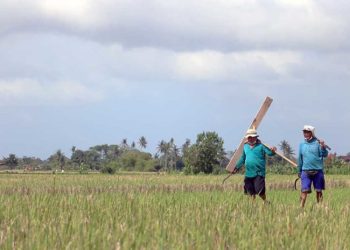 Perampasan Lahan dan Sistem Kerja di Bawah Kapitalisme