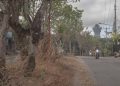 (Esai foto) Menikmati GWK dari Luar