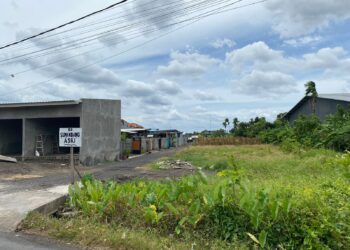 Perubahan Ruang Desa Budaya Batubulan