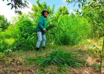 Jalan Terjal Menuju Perempuan Merdeka Sumberklampok
