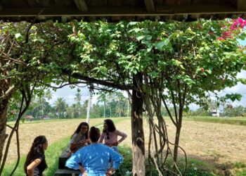 Kasus KDRT, Korban Dituduh Menguasai Ilmu Black Magic