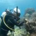 Pembersihan Sampah di Bawah Laut Bali Utara