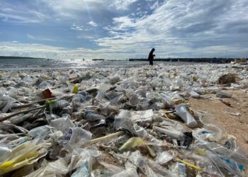 Inilah Tema Terbanyak di BaleBengong 2024: Alih Fungsi Lahan, Sampah, dan Pilkada