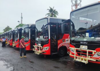 Bali menapak 2025: Kehilangan TMD, Kehilangan TEMAN