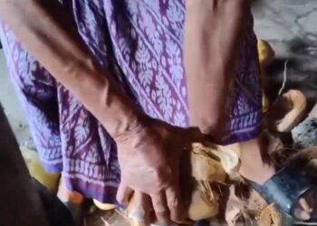 Kesuksesan Penjual Kelapa Mulung di Baktiseraga
