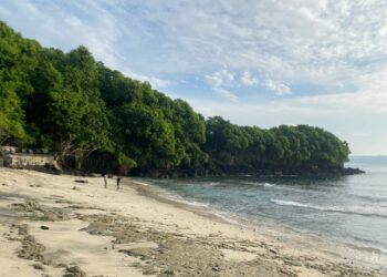 Banyak Pantai “Sakit” karena Kehilangan Ekosistem