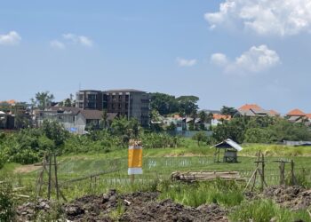 Suka Duka OSS: Desa Tidak Tahu Pembangunan Baru