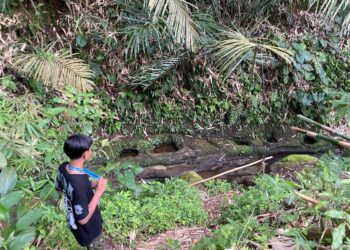 Menyusuri Sumber Air di Desa Pedawa