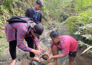 Yeh Cacapan Semer, Sumber Kehidupan Warga Desa Pedawa