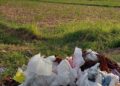 Dilema Subak Intaran di Antara Gempuran Sampah Plastik